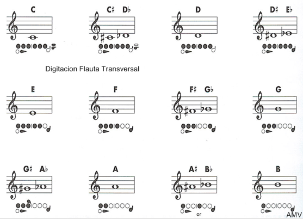imagen de Organográfica