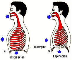 imagen de Aprende Flauta Travesera