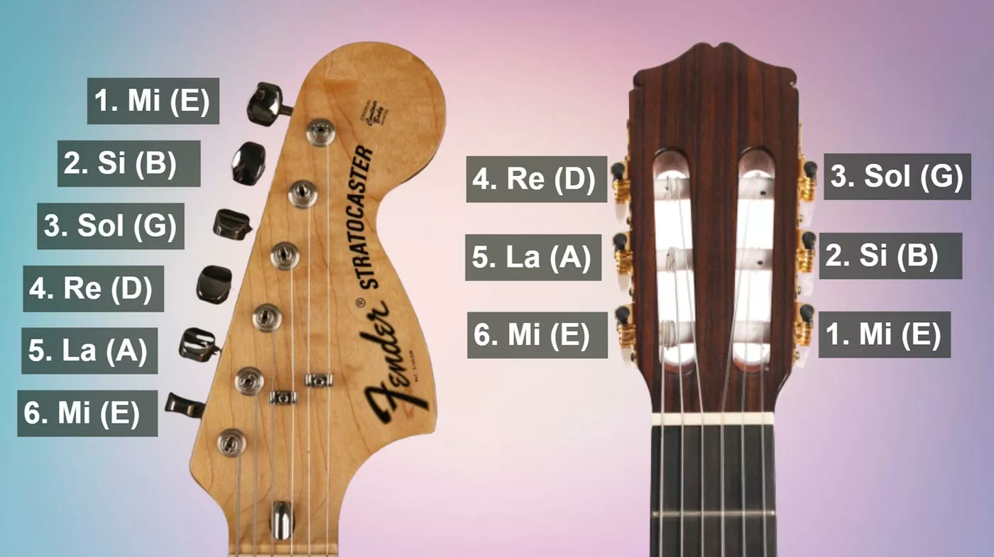 imagen de Escuela de Musica Erizo